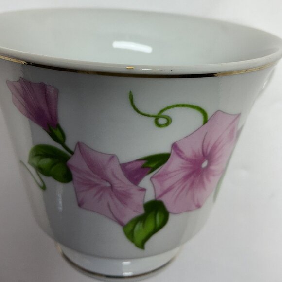 Morning Glory? Saucer & Cup No Call Outs Add to your collection! - Picture 3 of 11
